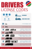 Namibian Drivers License Codes Explained In Detail